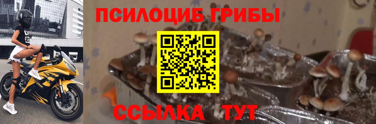 Галлюциногенные грибы Magic Shrooms Пыть-Ях
