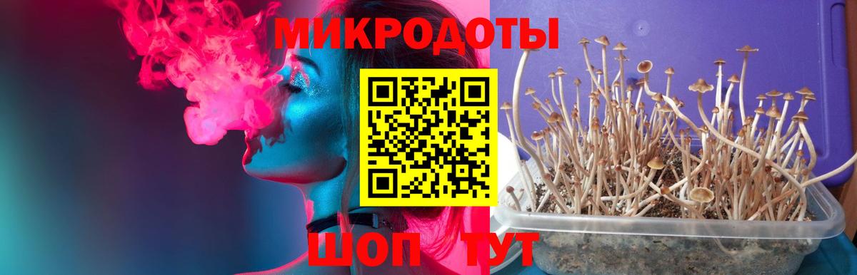 Пыть-Ях  Псилоцибиновые грибы Cubensis  Вход с VPN 